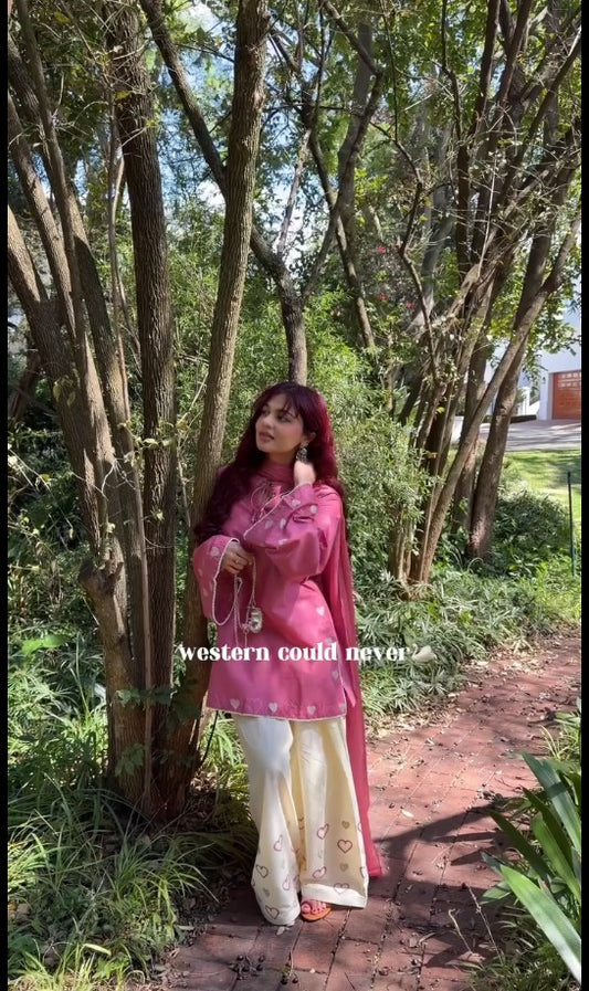 Razvi Pretty in Pink Embrodairy Detailing salwar set